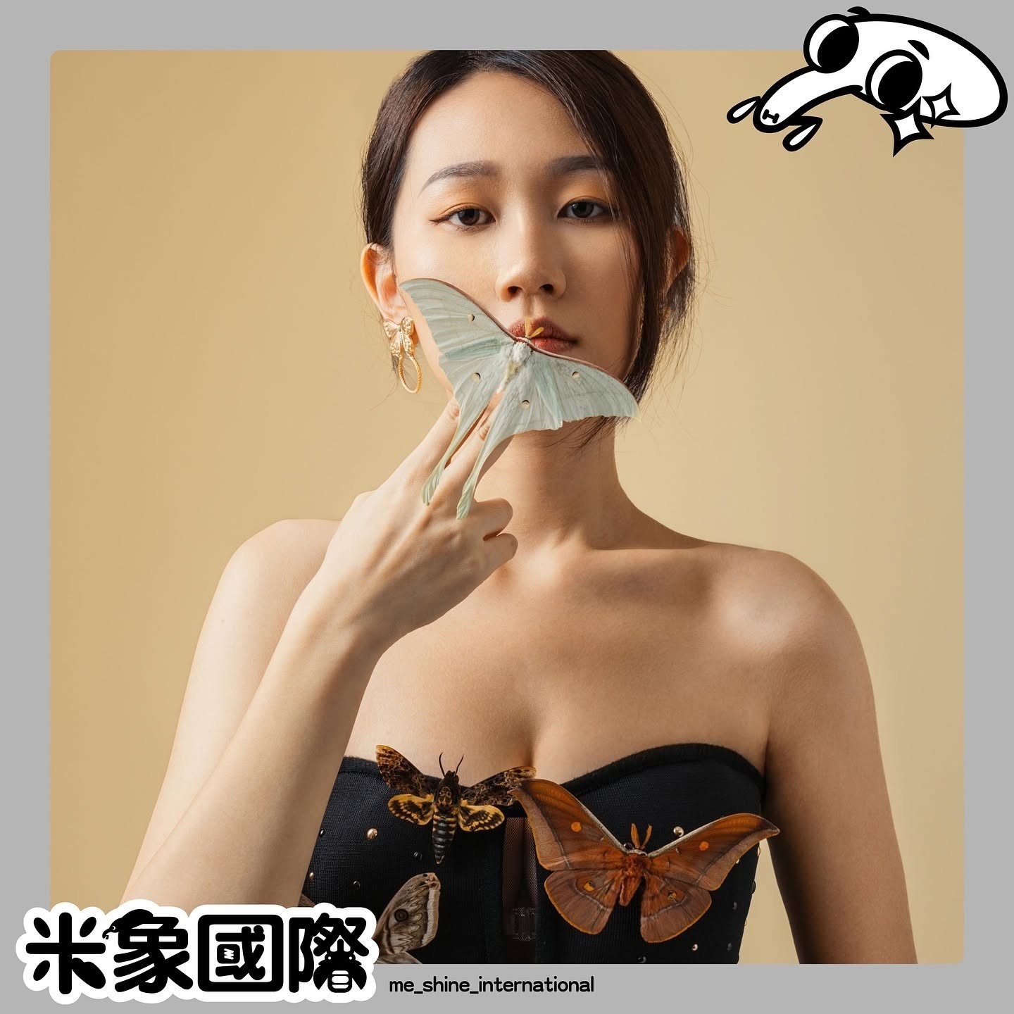 米象國際 — 胡薾元的皇蛾生態藝術標本畫作